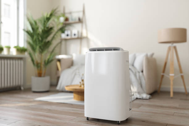 Best VRF (Variable Refrigerant Flow) Systems in Mbria, CA
